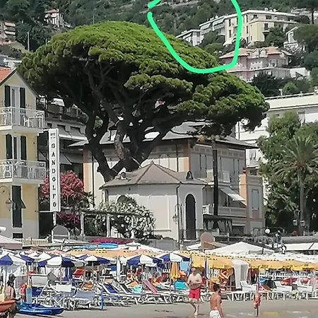Alassio Vacanze 住宿加早餐酒店 阿拉西奥