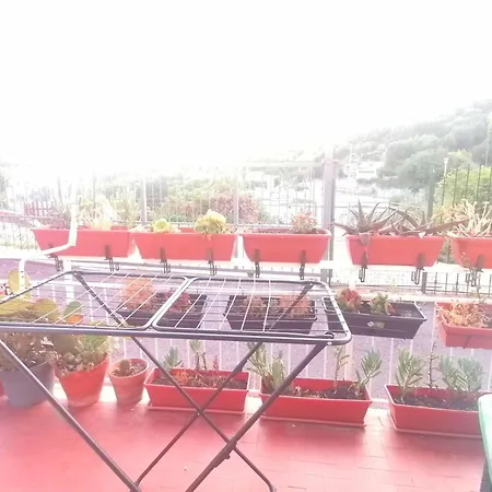 住宿加早餐酒店 Alassio Vacanze